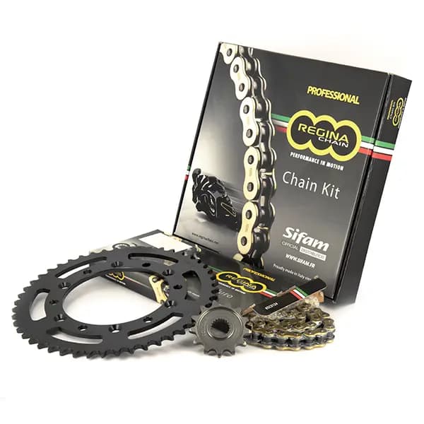 Casque Regina Bullit Hunt 125